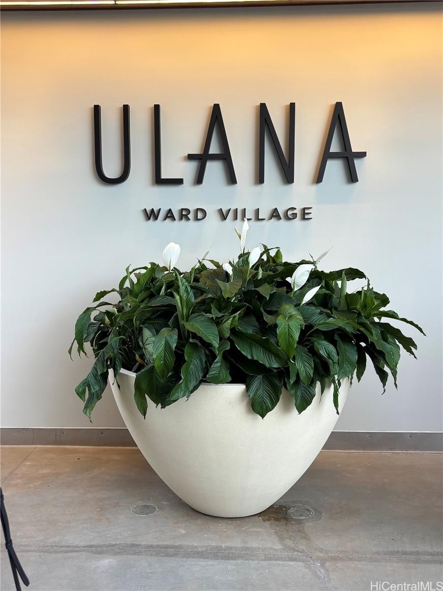 Ulana Ward Village Unit 904 in KAKAAKO